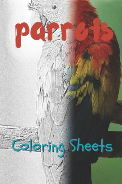 Parrot Coloring Sheets: 30 Parrot Drawings, Coloring Sheets Adults Relaxation, Coloring Book For Kids, For Girls - 9781797819235