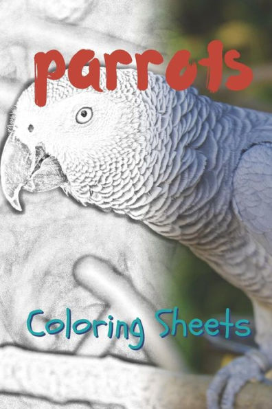 Parrot Coloring Sheets: 30 Parrot Drawings, Coloring Sheets Adults Relaxation, Coloring Book For Kids, For Girls - 9781797819280