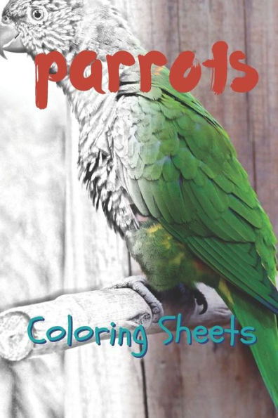 Parrot Coloring Sheets: 30 Parrot Drawings, Coloring Sheets Adults Relaxation, Coloring Book For Kids, For Girls - 9781797819297