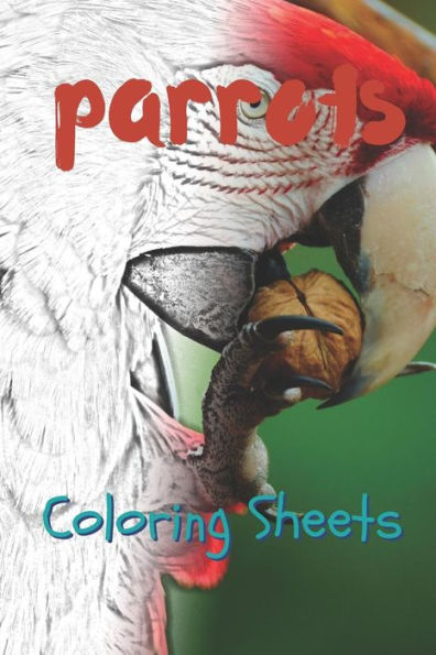 Parrot Coloring Sheets: 30 Parrot Drawings, Coloring Sheets Adults Relaxation, Coloring Book For Kids, For Girls - 9781797819327