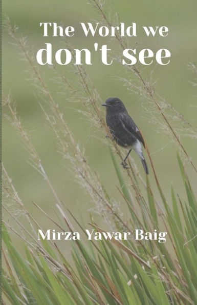 The World We Dont See