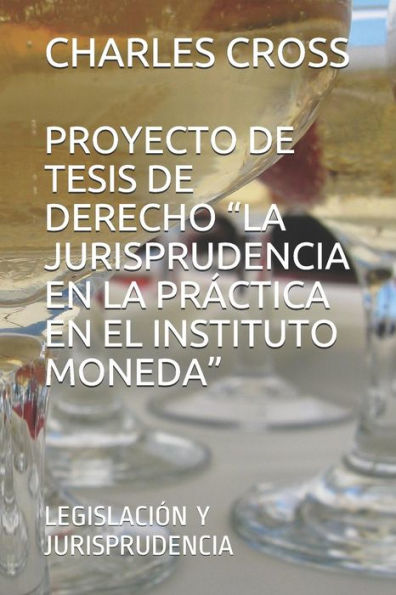 Proyecto De Tesis De Derecho "La Jurisprudencia En La Pr?ctica En El Instituto Moneda": Legislaci?n Y Jurisprudencia