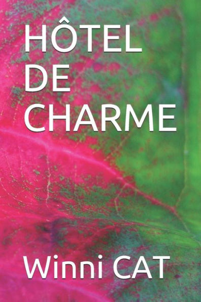 HÔTEL DE CHARME (French Edition)