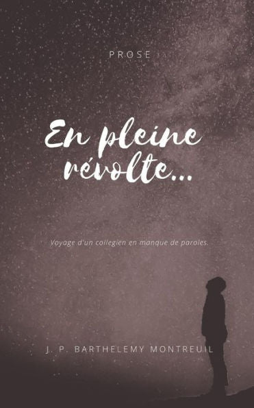 En pleine revolte.: Voyage d'un collegien en manque de paroles. (French Edition)