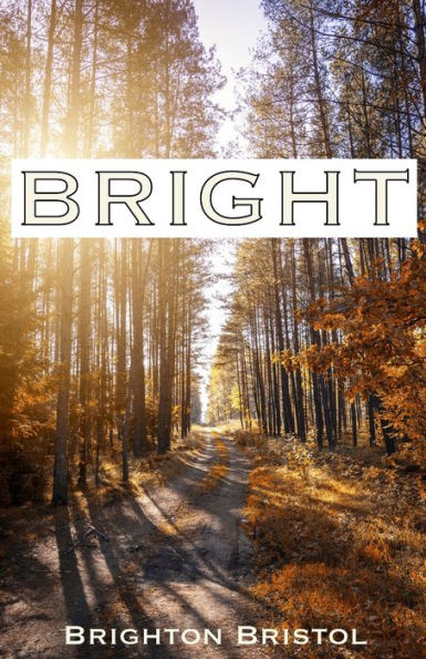 BRIGHT: Brighton Bristol