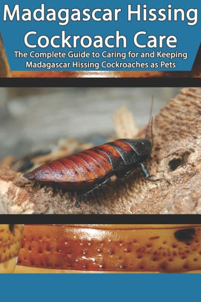 Madagascar Hissing Cockroach Care: The Complete Guide To Caring For And Keeping Madagascar Hissing Cockroaches As Pets