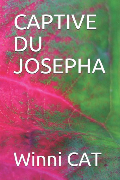 CAPTIVE DU JOSEPHA (French Edition)