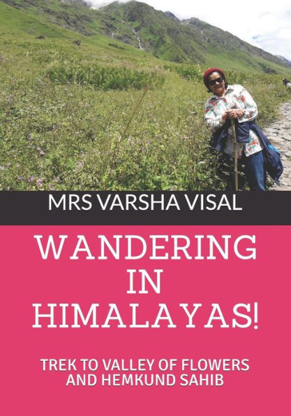 Wandering In Himalayas!: Trek To Valley Of Flowers And Hemkund Sahib