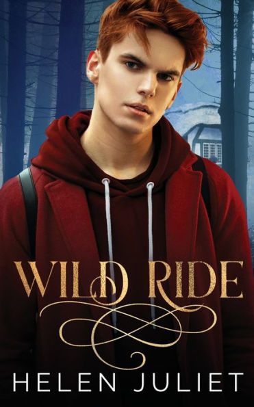Wild Ride - 9781838124083