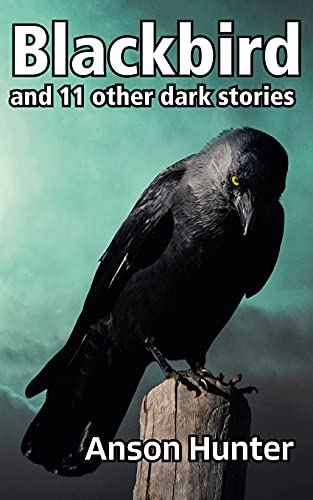 Blackbird: And 11 Other Dark Stories - 9781838188764