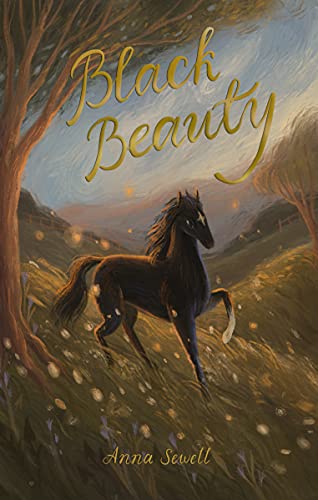 Black Beauty - 9781840228175