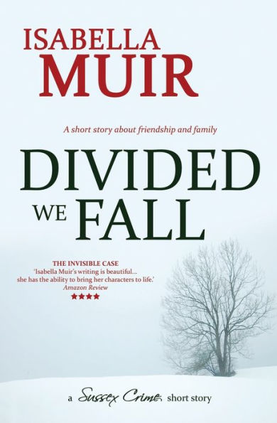Divided we Fall: A Christmas short story about friendship and family (A Sussex Crime Short Story)
