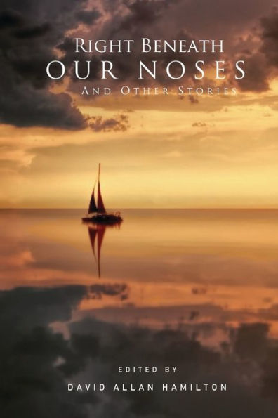 Right Beneath Our Noses And Other Stories - 9781896794266