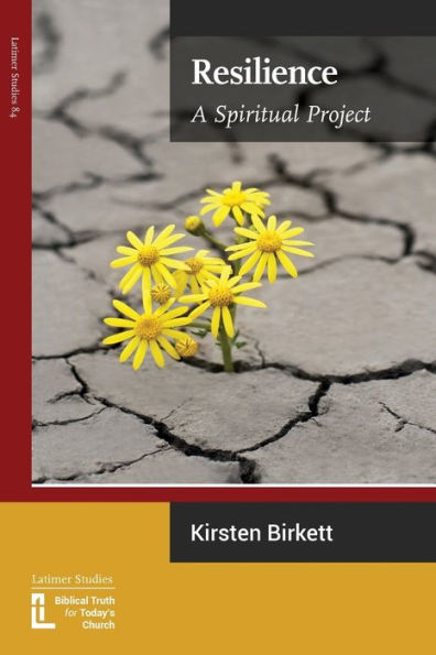 Resilience : A Spiritual Project
