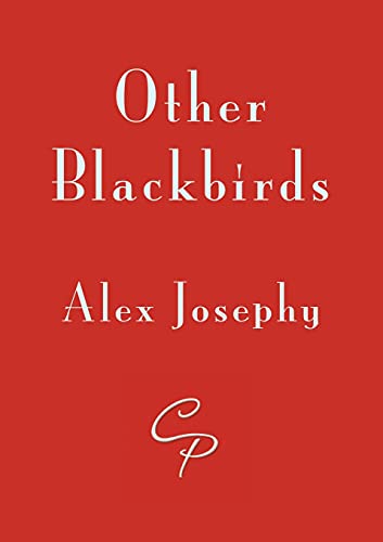 Other Blackbirds - 9781910836071