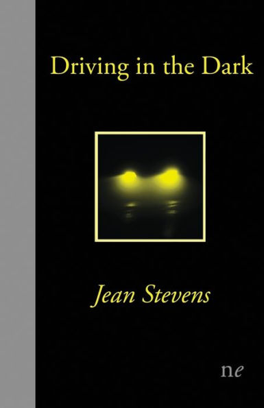 Driving in the Dark - 9781910981047