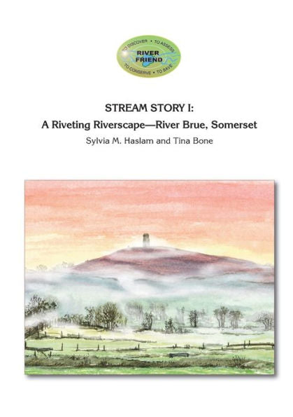Stream Story I : A Riveting Riverscape-River Brue, Somerset: River Friend Series