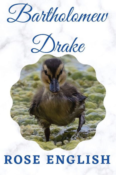 Bartholomew Drake: & Life On The Lake (Calvin The Swan)