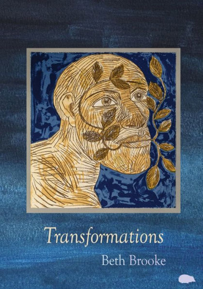 Transformations - 9781916830004