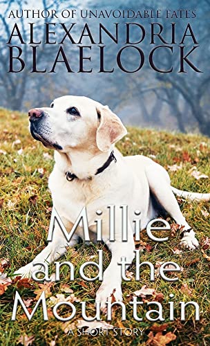 Millie And The Mountain