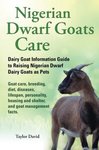 Nigerian Dwarf Goats Care: Dairy Goat InFurmation Guide To Raising Nigerian Dwarf Dairy Goats As Pets. Goat Care, Breeding, Diet, diases, Lifespan, ... And Shelter, And Goat Management Facts.