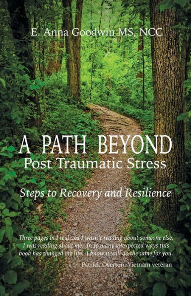 Un camino más allá del estrés postraumático: pasos hacia la recuperación y la resiliencia