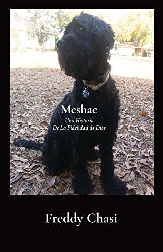 Meshac: Una Historia De La Fidelidad De Dios (Spanish Edition)
