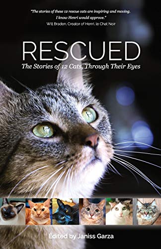 Rescued: The Stories Of 12 Cats, Through Their Eyes