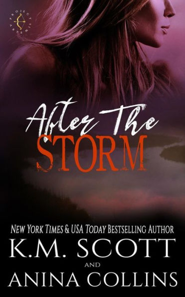 After The Storm: A Project Artemis Novel