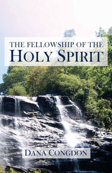 The Fellowship Of The Holy Spirit
