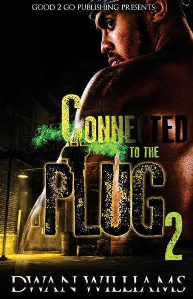 Connected to the plug 2 (2)