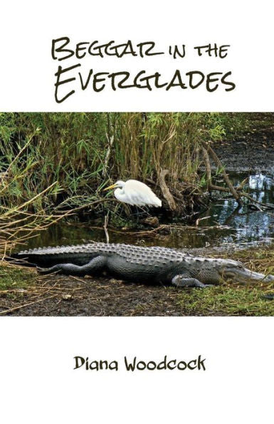 Beggar in the Everglades