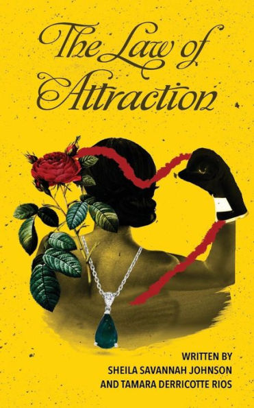 The Law Of Attraction - 9781944313562