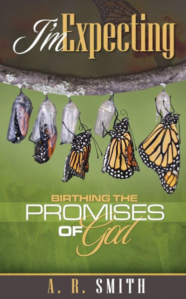 I'm Expecting: Birthing The Promises of God