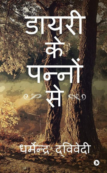 Diary Ke Panno Se (Hindi Edition)