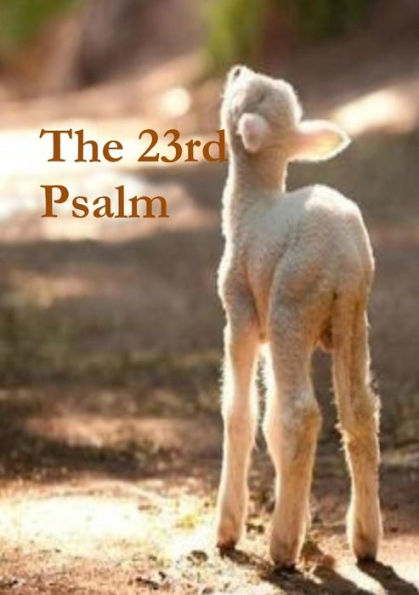 The 23Rd Psalm - 9781946908964