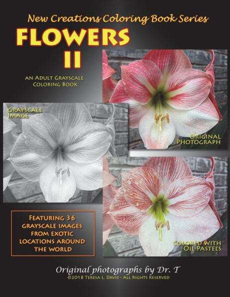 New Creations Coloring Book Series : Flowers Ii