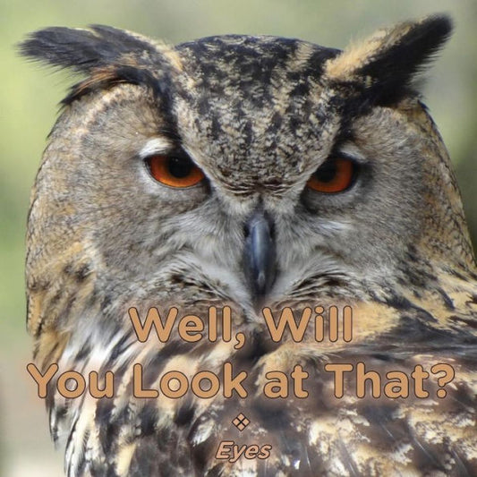 Well, Will You Look At That? Eyes