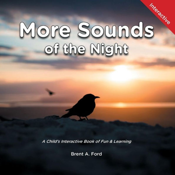 Sounds Of The Night : A Child's Interactive Book Of Fun And Learning