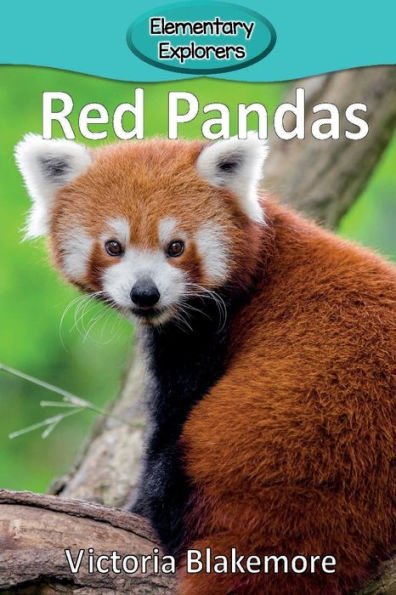 Red Pandas - 9781947439207