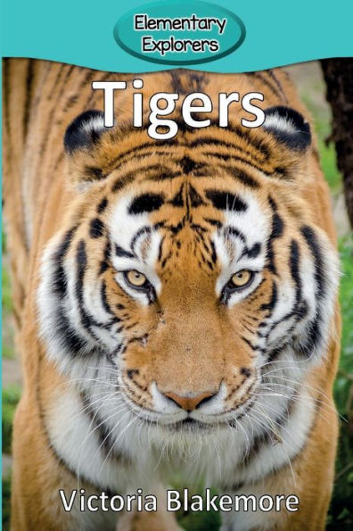 Tigers - 9781947439245
