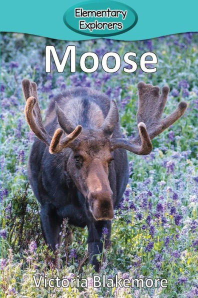 Moose - 9781947439283