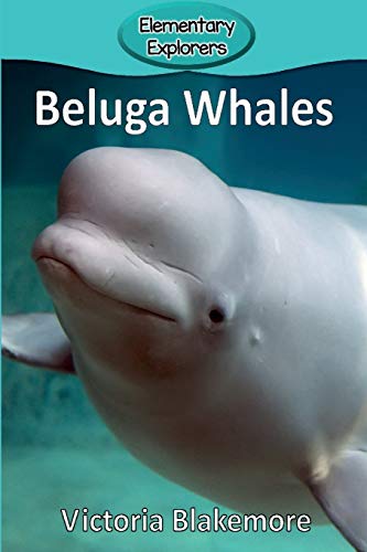 Beluga Whales - 9781947439306