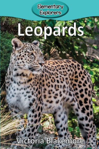 Leopards - 9781947439320