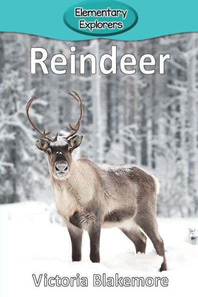 Reindeer - 9781947439443