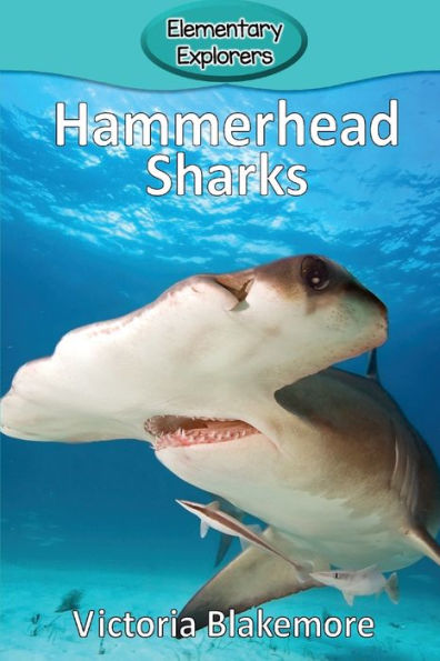 Hammerhead Sharks (33) (Elementary Explorers) - 9781947439467