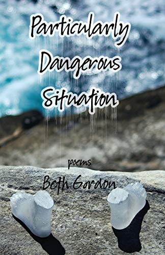Particularly Dangerous Situation - 9781947653832