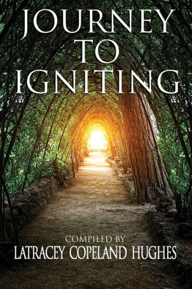 Journey To Igniting