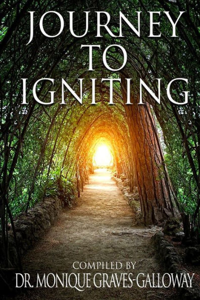 Journey To Igniting - 9781947970014