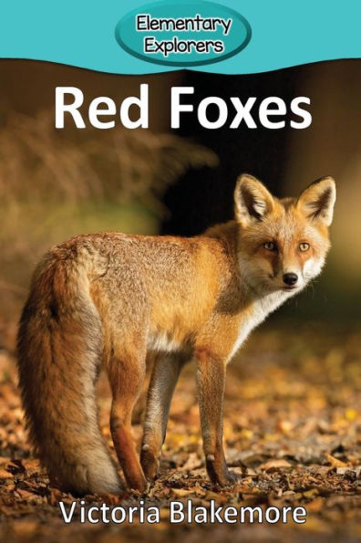 Red Foxes - 9781948388023